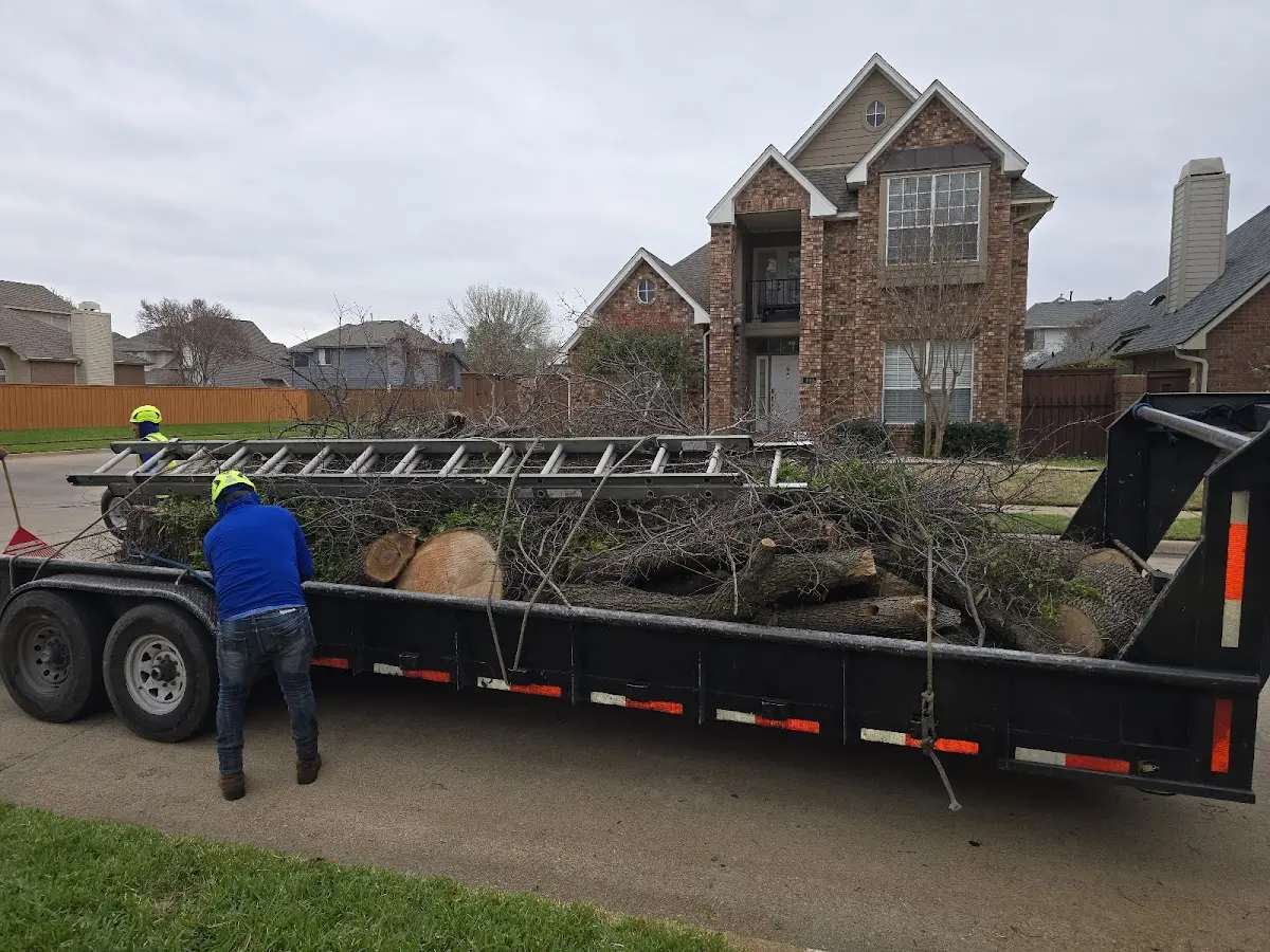 Expert Tree Removal with proper safety equipment in Talladega